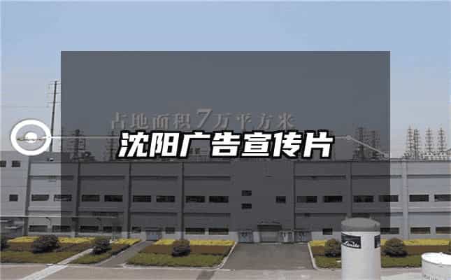 沈阳广告宣传片